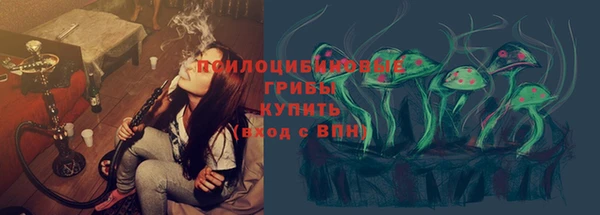 хмурый Абинск