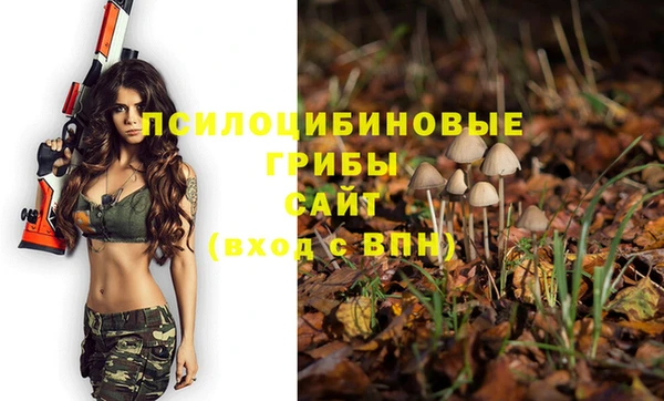 эйфоретик Абдулино